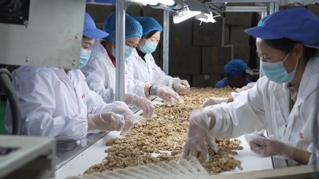 Kaiyun中国：大理鲜活农产品出口一站式服务助力高原水果“鲜”行(图8)