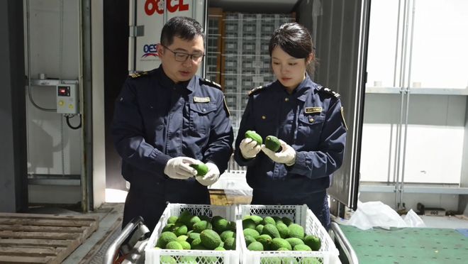 开云网站：今年前4个月上海对拉美国家进出口总值增长2%(图2)