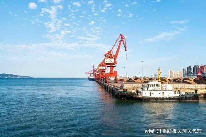 开云网站：巧克力出口报关流程(图3)
