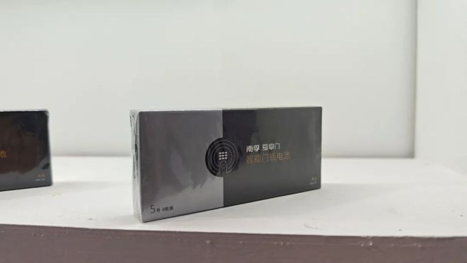 Kaiyun中国：门博会焦点：看南孚爱掌门如何赢得智能锁B端伙伴青睐(图2)