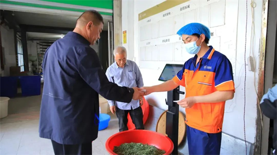 Kaiyun中国：超级码溯源智能秤：一秤搞定茶青收购、加工称重、库存管理！(图3)