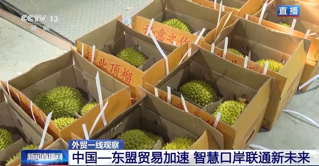 开云网站:15秒过卡一站式通关智慧口岸助力中国—东盟贸易加速