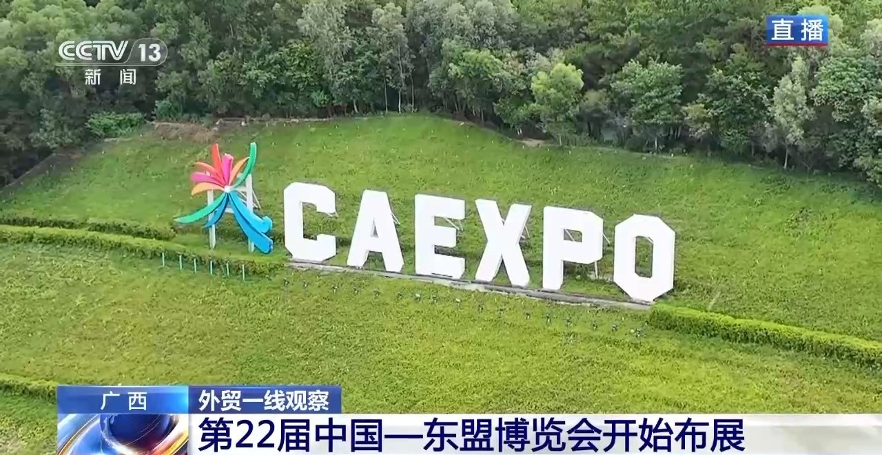 开云网站:15秒过卡一站式通关智慧口岸助力中国—东盟贸易加速(图6)