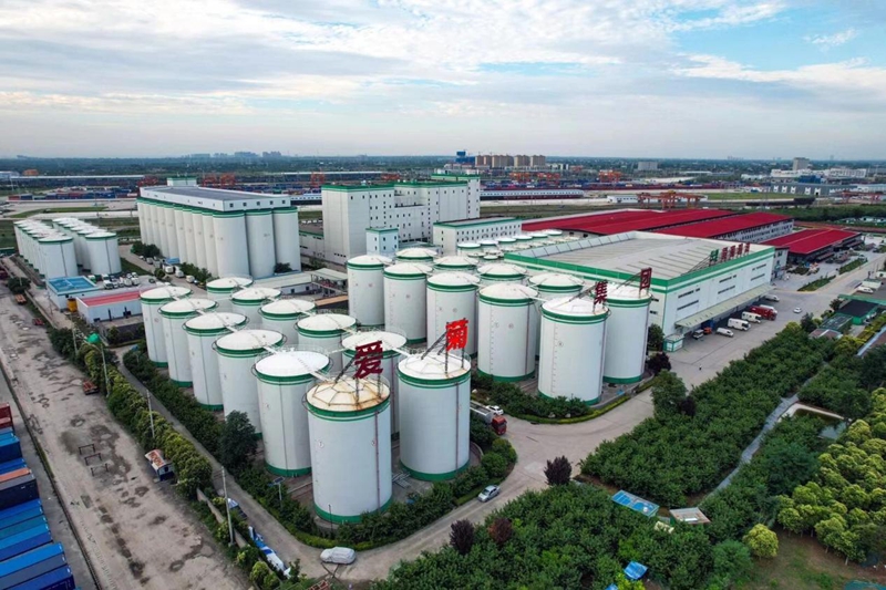 开云网站：一碗面看见西安“外向”的心(图3)