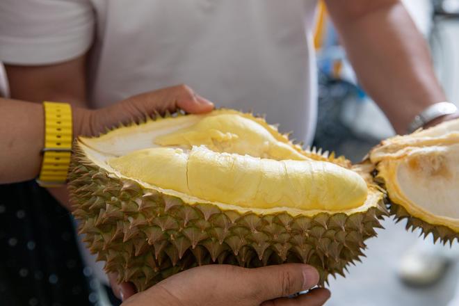 Kaiyun中国：一颗榴莲的“奇妙之旅”