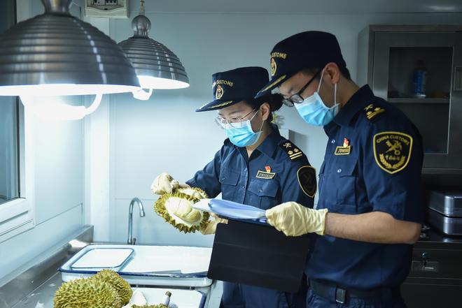 Kaiyun中国：一颗榴莲的“奇妙之旅”(图3)