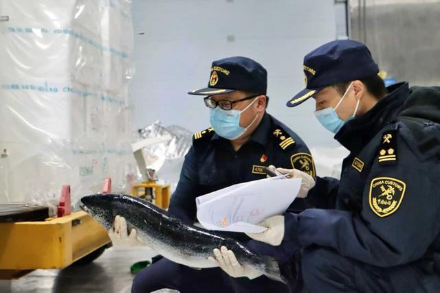 Kaiyun中国:鄂州花湖机场前10月跨境快件破百万件海关创新赋能“秒级通关”