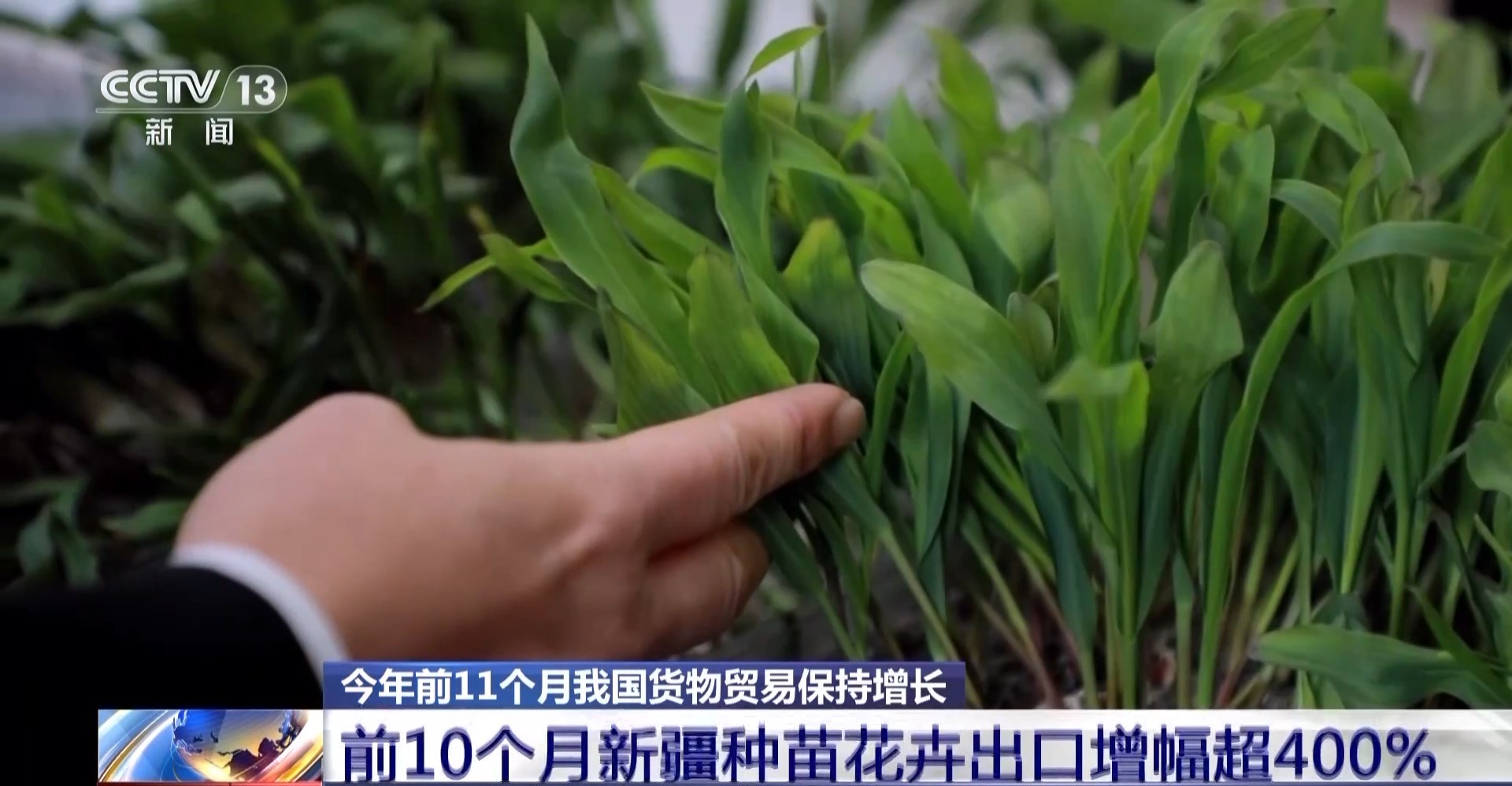 Kaiyun中国：丨为何前11个月外贸走得稳？三大关键词解读(图7)