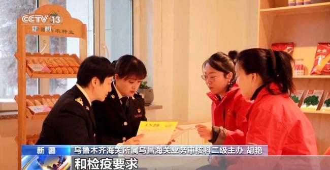 开云网站：为何前11个月外贸走得稳？三大关键词解读(图2)