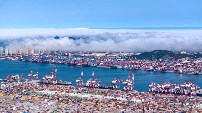 开云网站：从粮食、矿石到冷链危险品青岛大宗散货通关加速迈入“智慧时代”