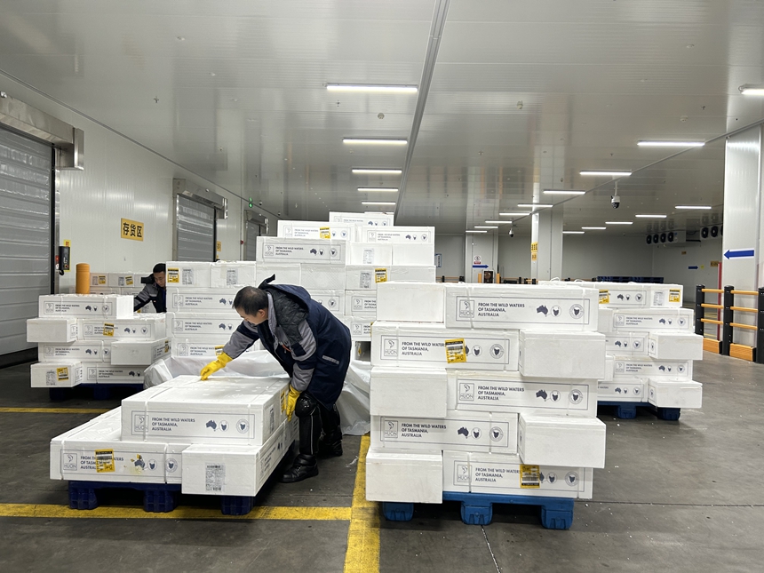 Kaiyun中国：深圳機場年度進出口貨運量首次突破百萬噸(图1)