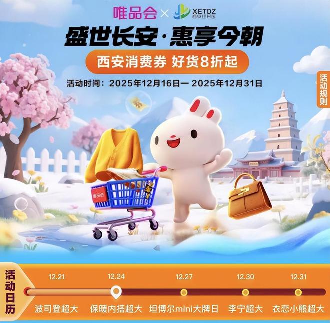 Kaiyun中国：补贴从家电走进衣柜消费经济越来越稳了(图3)