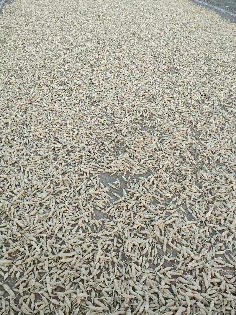 Kaiyun中国：2025年12月麦冬头加工厂推荐榜单：顶尖公司综合评估(图3)