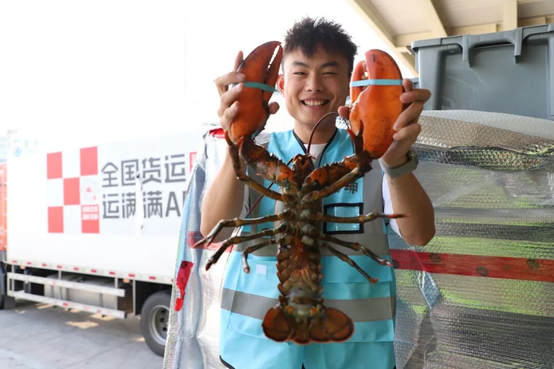 Kaiyun中国:翼展宏图行稳致远——鄂州花湖国际机场2025年发展纪实(图8)