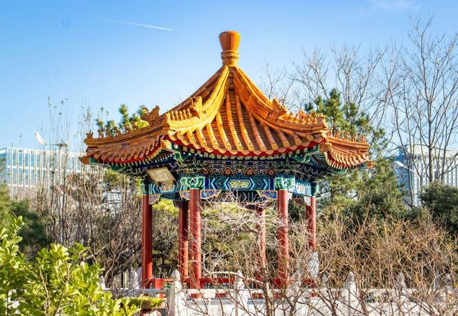 开云网站：对外经贸与法国巴黎第一大学企业管理硕士学位2026年春季招生中(图5)