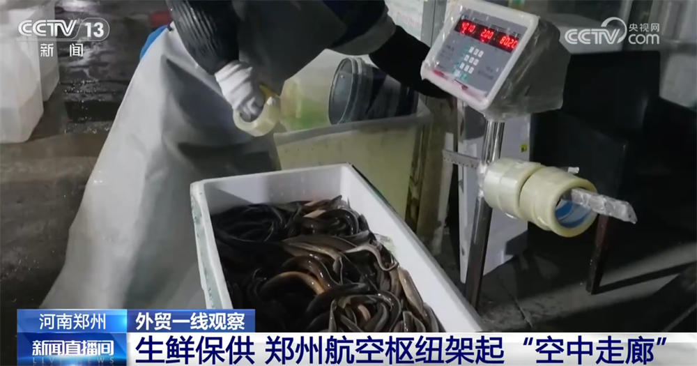 开云网站:外贸一线观察|依托多式联运织密物流网郑州推动“内陆节点”跃升为开放前沿