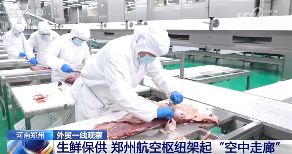 开云网站:外贸一线观察|依托多式联运织密物流网郑州推动“内陆节点”跃升为开放前沿(图4)