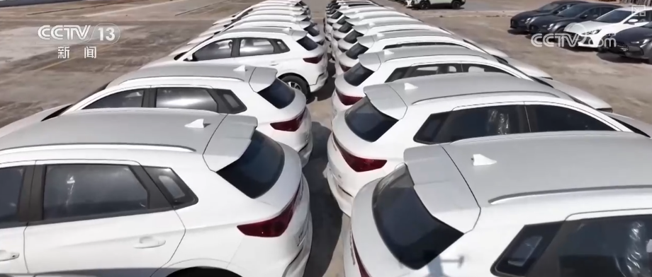 Kaiyun中国：“迅猛增长”“进口+产业”“零突破”活力涌动！从关键词里解码区域外贸亮点(图4)