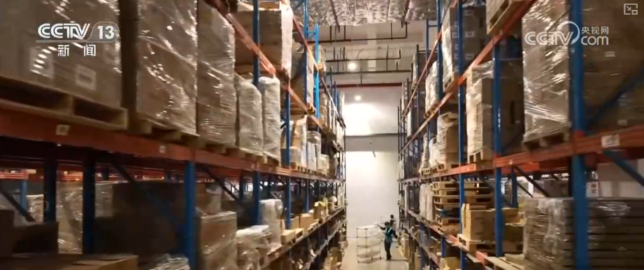 Kaiyun中国：“迅猛增长”“进口+产业”“零突破”活力涌动！从关键词里解码区域外贸亮点(图8)