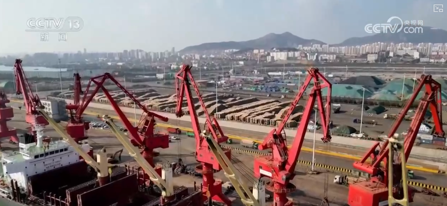 Kaiyun中国：“迅猛增长”“进口+产业”“零突破”活力涌动！从关键词里解码区域外贸亮点(图14)