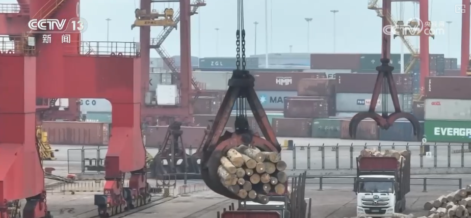 Kaiyun中国：“迅猛增长”“进口+产业”“零突破”活力涌动！从关键词里解码区域外贸亮点(图16)