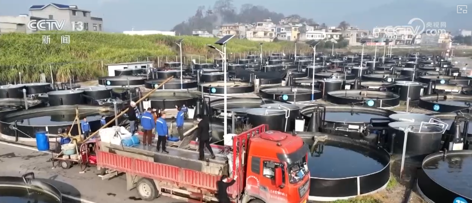 Kaiyun中国：“迅猛增长”“进口+产业”“零突破”活力涌动！从关键词里解码区域外贸亮点(图24)