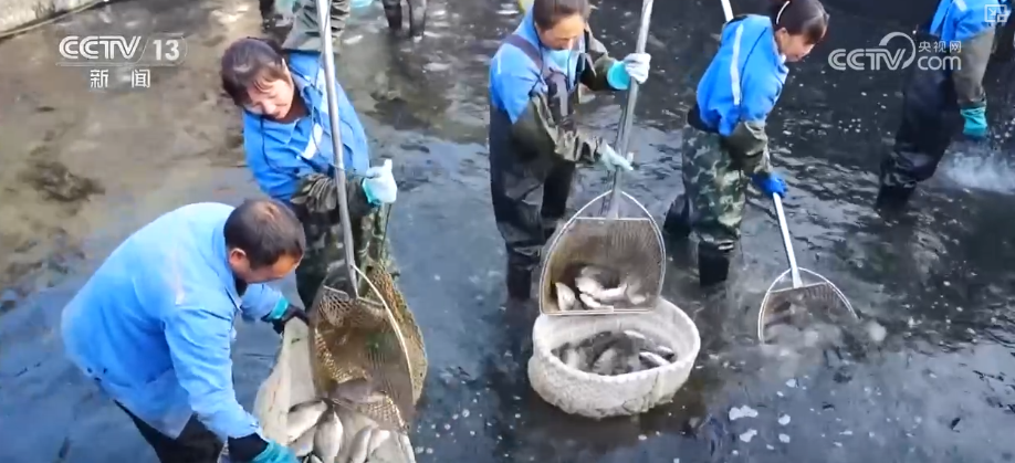 Kaiyun中国：“迅猛增长”“进口+产业”“零突破”活力涌动！从关键词里解码区域外贸亮点(图25)