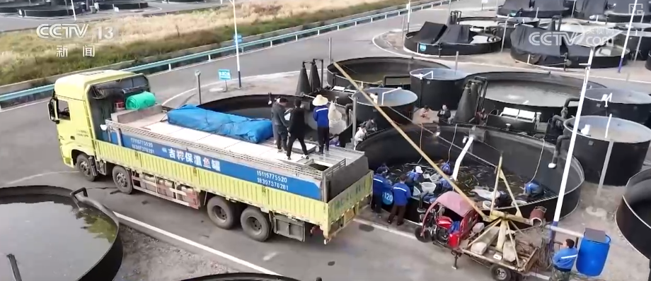 Kaiyun中国：“迅猛增长”“进口+产业”“零突破”活力涌动！从关键词里解码区域外贸亮点(图26)