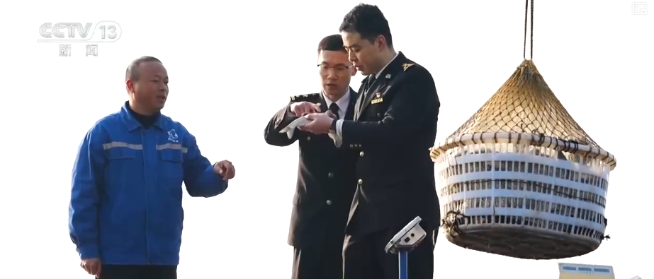 Kaiyun中国：“迅猛增长”“进口+产业”“零突破”活力涌动！从关键词里解码区域外贸亮点(图27)