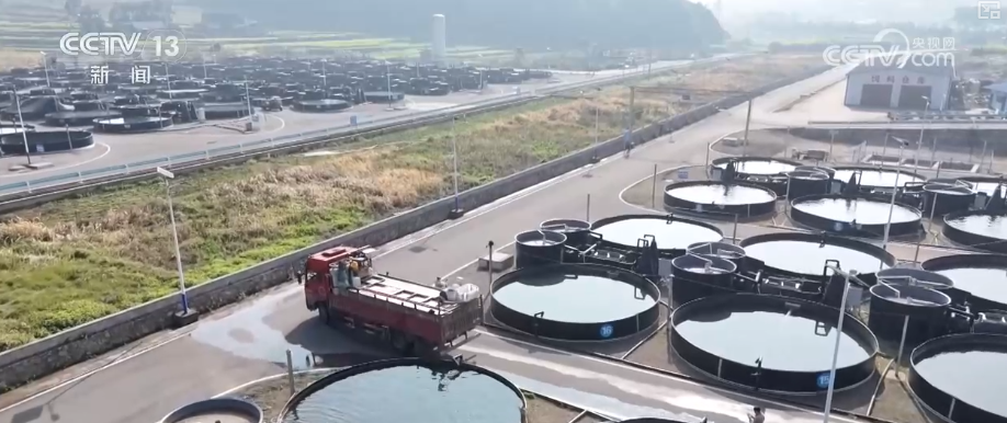 Kaiyun中国：“迅猛增长”“进口+产业”“零突破”活力涌动！从关键词里解码区域外贸亮点(图29)