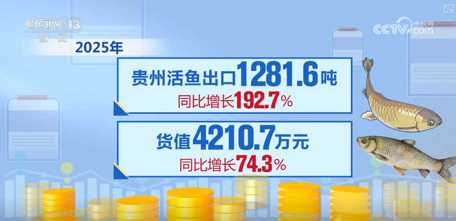 Kaiyun中国：“迅猛增长”“进口+产业”“零突破”活力涌动！从关键词里解码区域外贸亮点(图30)