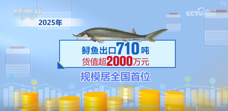 Kaiyun中国：“迅猛增长”“进口+产业”“零突破”活力涌动！从关键词里解码区域外贸亮点(图31)