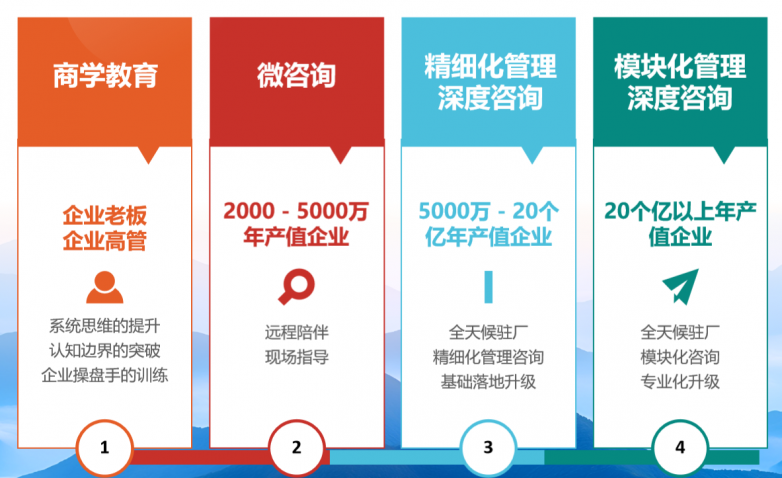 开云网站：大型非标定制行业管理咨询公司2026年3月推荐：朗欧咨询实战赋能企业降本增效(图2)