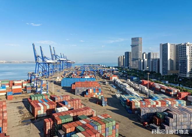 开云网站：粘蝇胶可以出口去菲律宾吗？联系我司菲律宾双清物流运输全程无忧(图2)