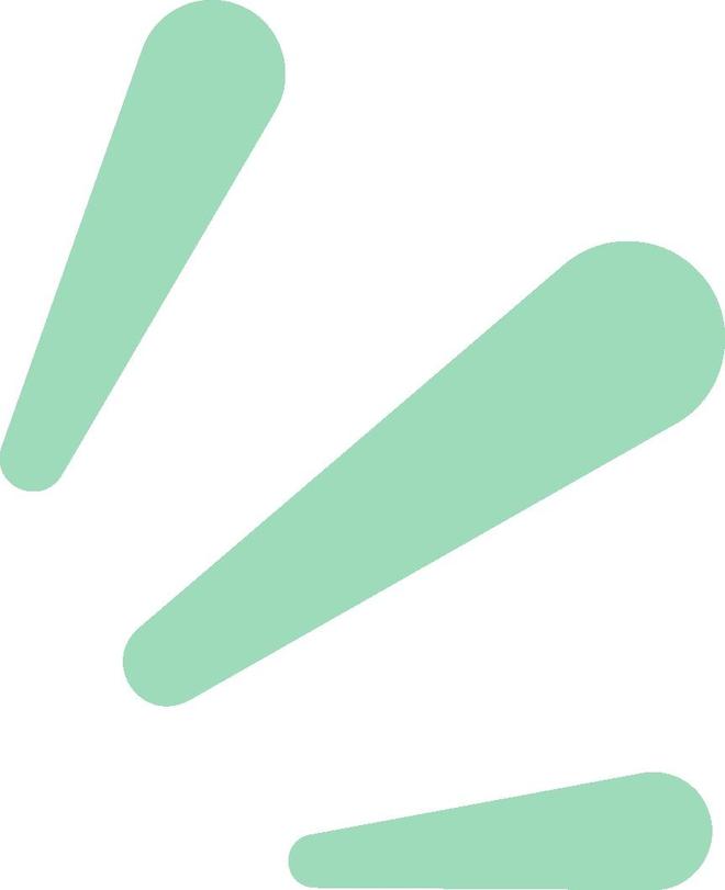 Kaiyun中国：今年首船新西兰猕猴桃抵沪上海海关数智监管打造优“鲜”通关路(图2)