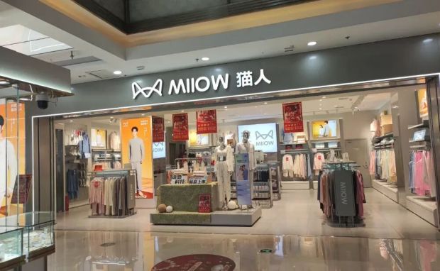 Kaiyun中国:请来“神仙姐姐”的猫人要冲1000亿(图4)