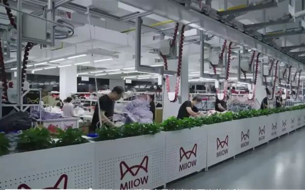 Kaiyun中国:请来“神仙姐姐”的猫人要冲1000亿(图7)