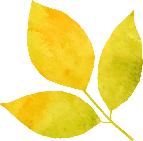 Kaiyun中国：老子出关到唐僧偷渡：中国海关的前世今生（上）(图7)